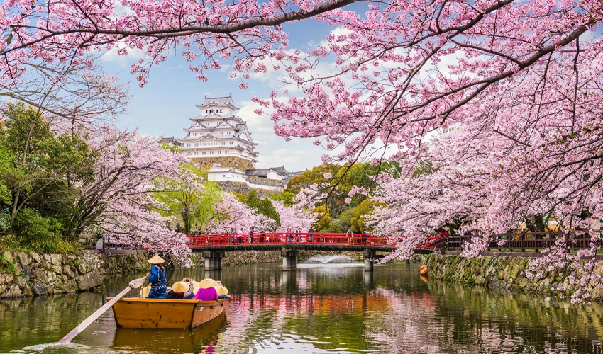 Japonya Gezi Rehberi: Kültür, Sakura, Rota ve Lezzet Durakları
